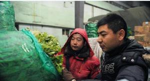 清晨6時許,司德華(右)和魏剛在烏魯木齊市北園春蔬菜批發市場挑選芹菜。