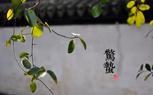 驚蟄