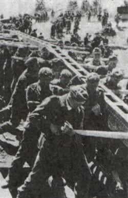 德軍渡過頓河向高加索油田進攻