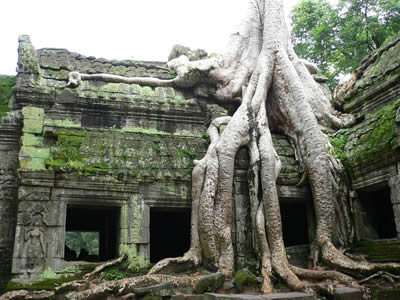 我國與柬埔寨建立外交關系