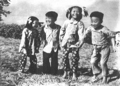 湖北麻城早稻產量放衛星