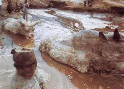 永濟(jì)縣出土唐代鐵牛