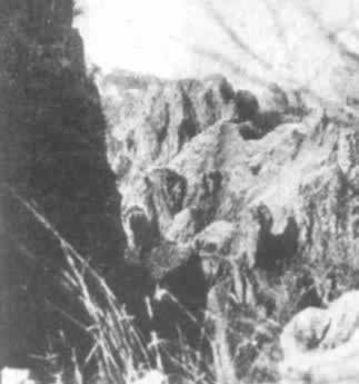 狼牙山五壯士壯烈跳崖
