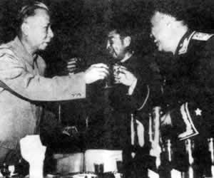 十大元帥授勛