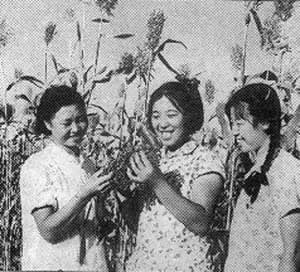 毛澤東發號召 2000萬知識青年上山下鄉