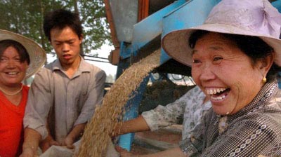 中央發表關于“三農”的一號文件