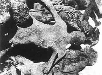 日軍制造潘家峪慘案，死難者1200余人（轉自：歷史上的今天。com）