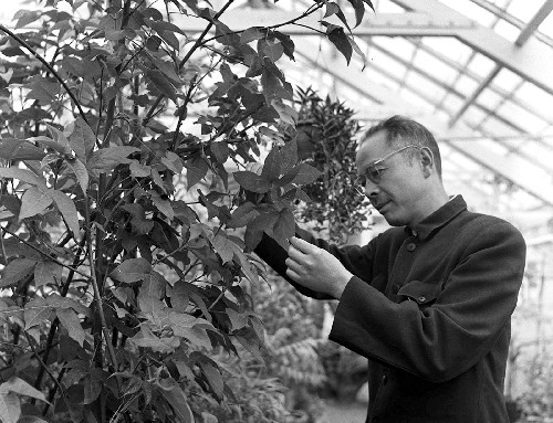 我國著名植物學(xué)家蔡希陶在昆明逝世(歷史上今天lssjt.cn)