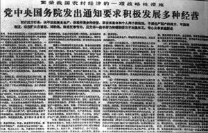 黨中央國務院要求積極發展多種經營