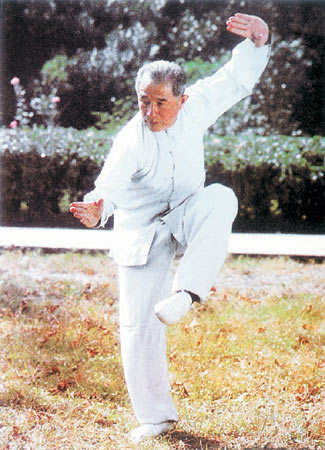 武林中人首次獲得段位證書