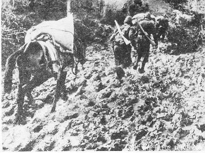 希臘軍隊向軸心國投降