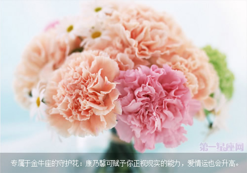 專屬于金牛座的守護花