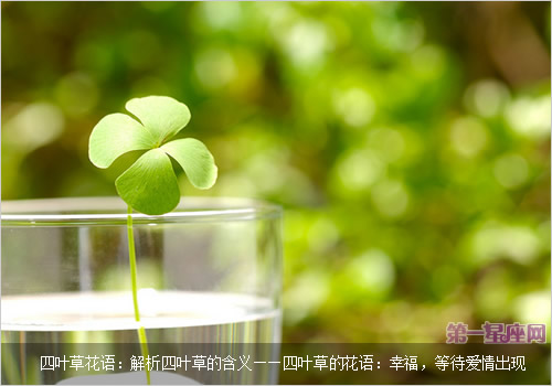 四葉草花語：解析四葉草的含義