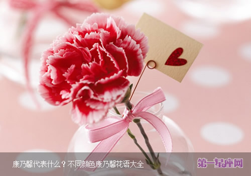 康乃馨代表什么？不同顏色康乃馨花語大全