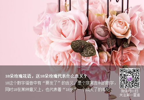 18朵玫瑰花語，送18朵玫瑰代表什么含義？