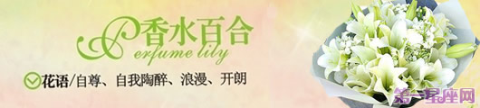 香水百合花語(yǔ)：送香水百合代表什么意思？