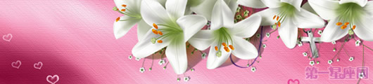 百合花送幾朵好？送百合花朵數的含義解析