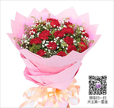 紅色康乃馨花語(yǔ)，送紅色康乃馨代表什么？