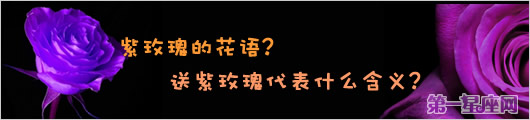 紫玫瑰的花語？送紫玫瑰代表什么含義？