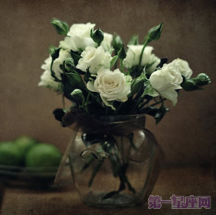 白玫瑰花語：9朵白玫瑰代表什么意思？
