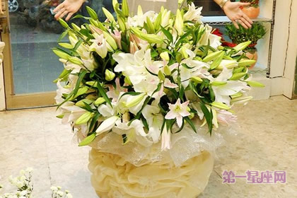 百合花語