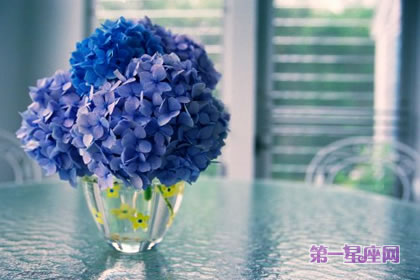 花語大全：風(fēng)信子的花語是什么