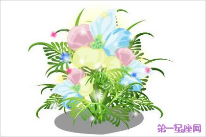 依米花的花語(yǔ)是什么？