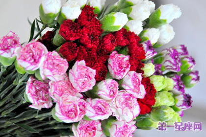 代表感恩的花語？什么花代表感恩！