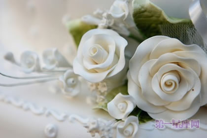 【戀愛花語】什么花代表戀愛？
