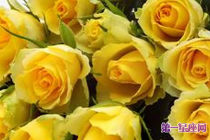 各種花的花語：代表憂傷的花和花語
