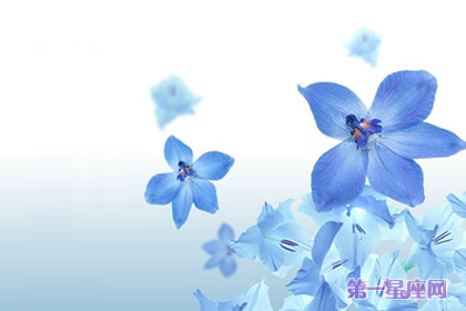 藍(lán)色紫羅蘭花語：警戒，我將永遠(yuǎn)忠誠