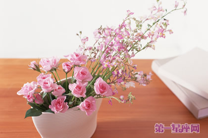 不同性格送不同的鮮花