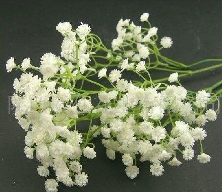 滿(mǎn)天星