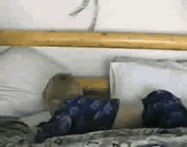 聽到零食包裝袋被撕開的聲音時的我