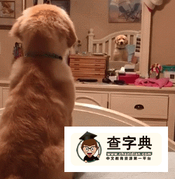 是誰啊你？