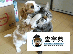 好兄弟一輩子