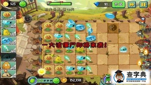 植物大戰僵尸2功夫世界第十二天通關攻略6