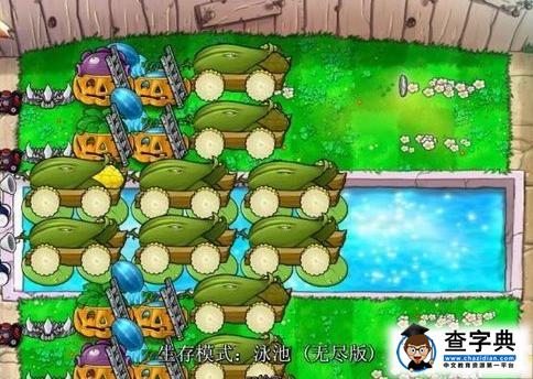 《植物大戰僵尸》無傷陣型進化過程6