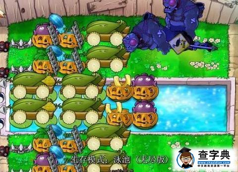 《植物大戰僵尸》無傷陣型進化過程4