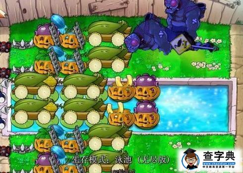 《植物大戰僵尸》無傷陣型進化過程5