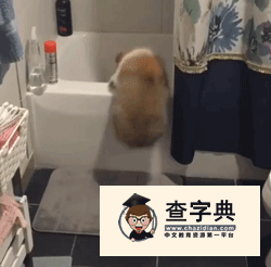 加油加油！