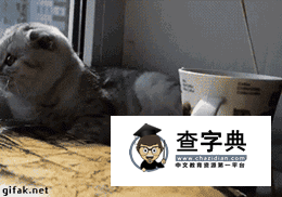 惹事了吧哈哈