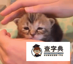寶貝乖寶貝
