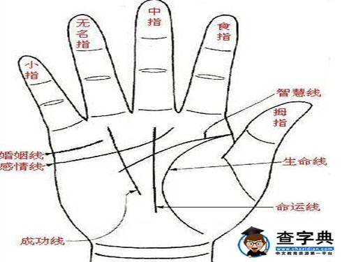 如何看手相中的命運線呢1