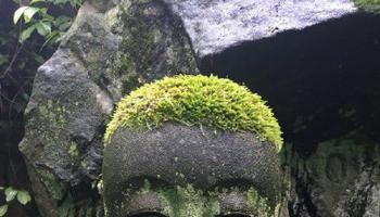 自然的饋贈