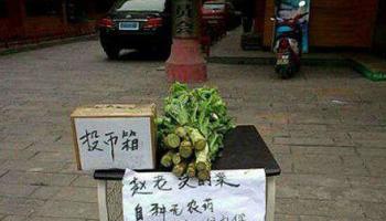 趙大爺太善良，居然相信有人會投幣