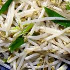 炒綠豆芽