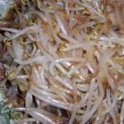炒綠豆芽
