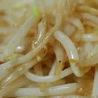 清炒綠豆芽