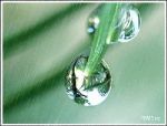 雨滴 雨滴